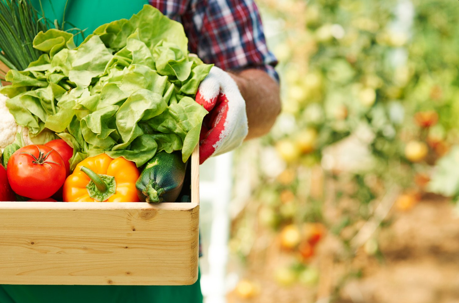 Opera Captura de pantalla_2025-11-27_162129_www.freepik.es