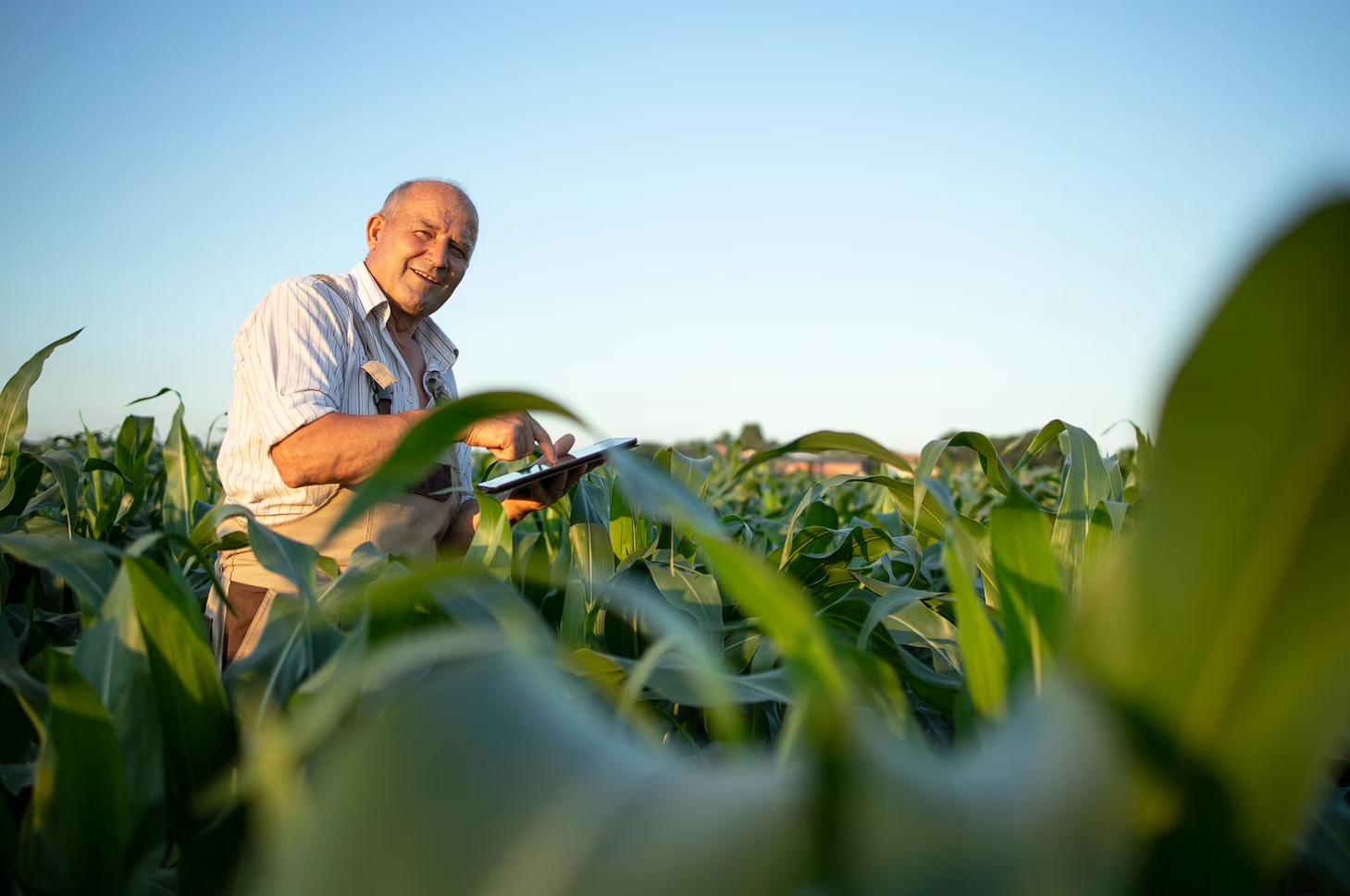 Opera Captura de pantalla_2025-11-27_162151_www.freepik.es